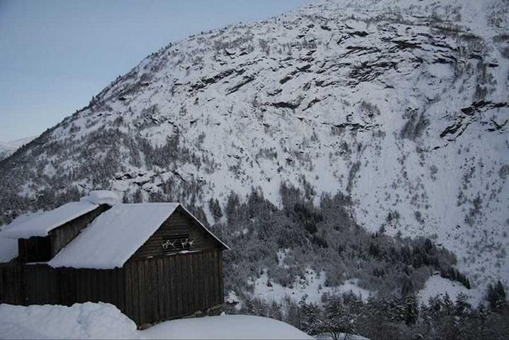 Bild